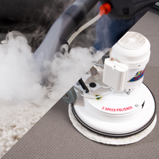 professional carpet cleaners capalaba