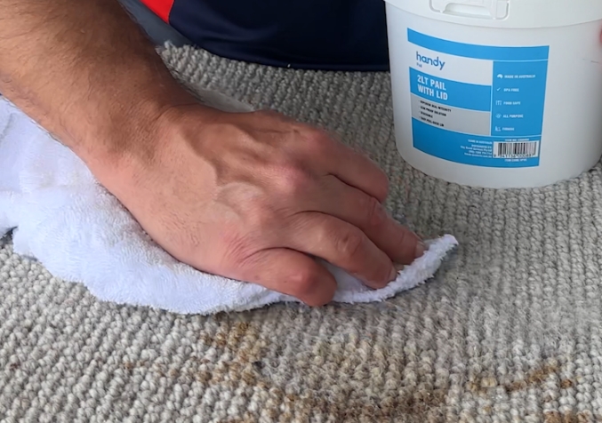 Person Blotting a coke carpet stain