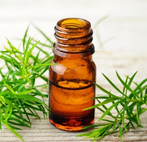 uses of tea tree oil