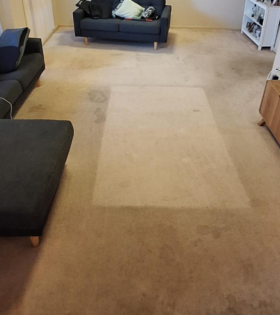 2 New Carpet Cleaning Before