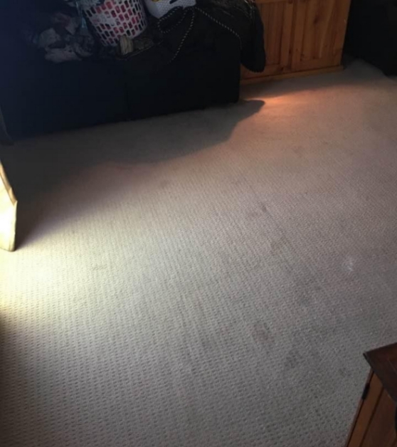 7 New Carpet Carpet After