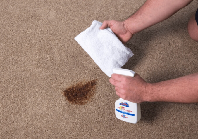 https://www.electrodry.com.au/media/h5uf1oyz/carpet-with-a-poo-stain.jpg