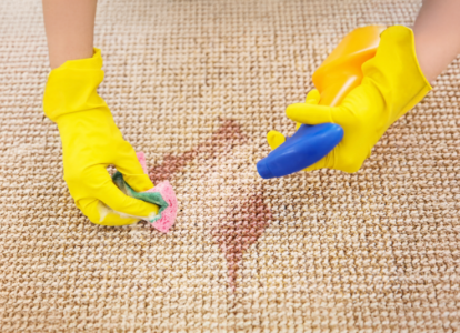 cleaning vomit stain and odour from carpet