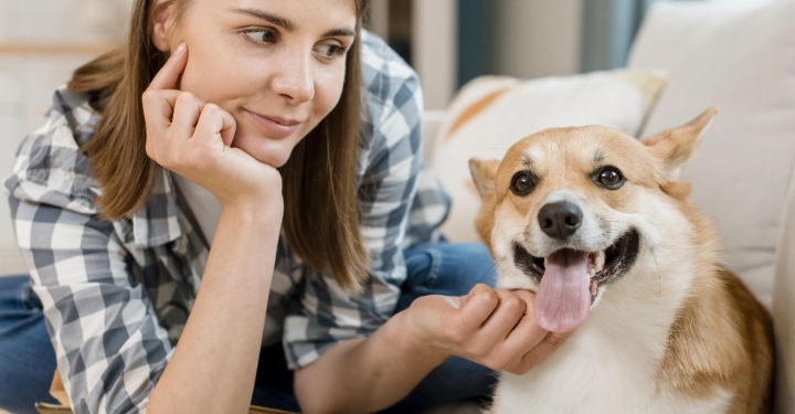 how to treat blood stains on carpet