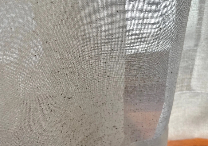 Mould Build Up on curtains