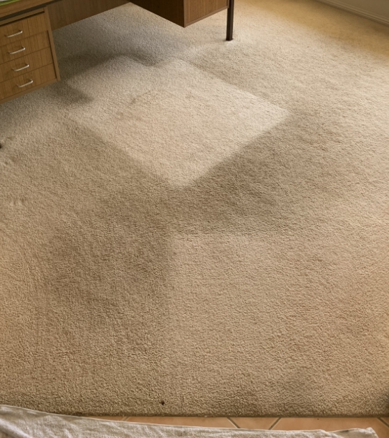 6 New Carpet Cleaning Before