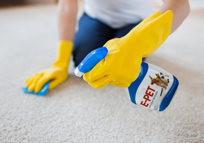 spraying E-Pet enzymatic cleaner on carpet