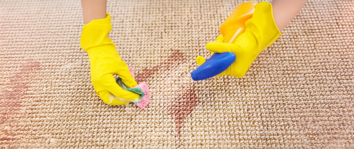 cleaning vomit stain and odour from carpet