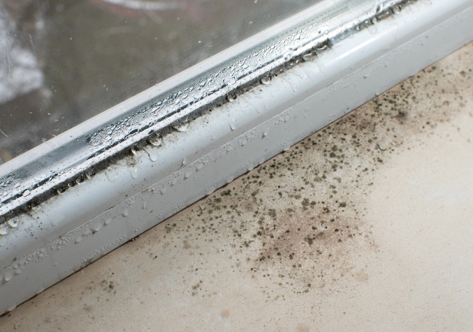 mould spots near windows