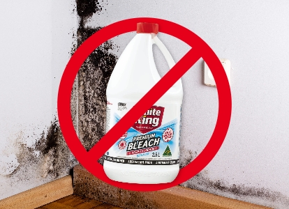 do not use bleach for mould removal